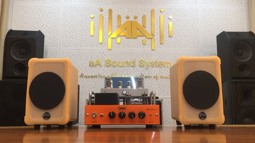 博元電聲 音樂愛好者的第一套專業(yè)音響