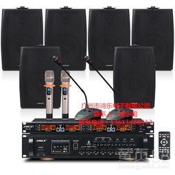 【會(huì)議音響系統(tǒng)專業(yè)音響功放套裝組合】-